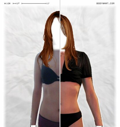 Torso Comparison