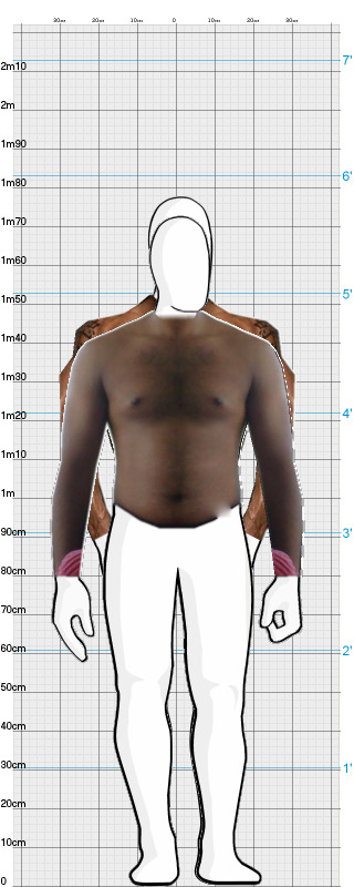 Full Size Comparison