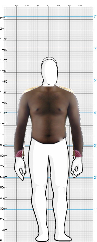 Full Size Comparison