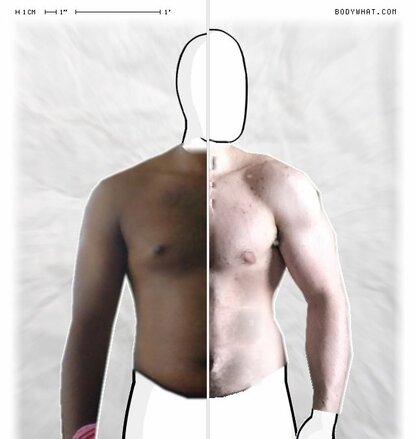 Torso Comparison