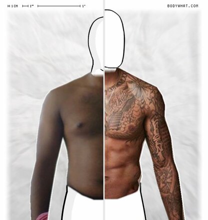 Torso Comparison