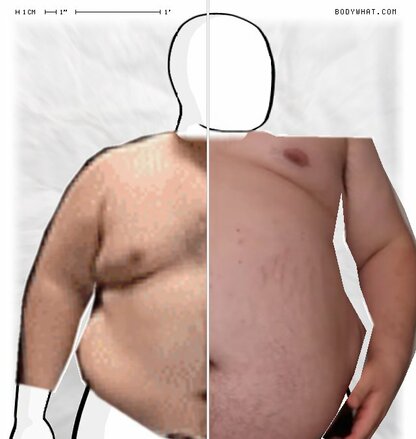 Torso Comparison