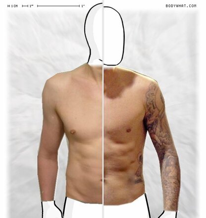 Torso Comparison