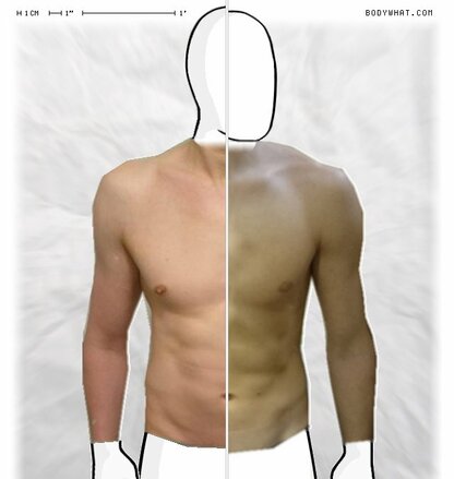 Torso Comparison