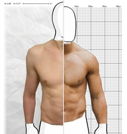 Torso Comparison