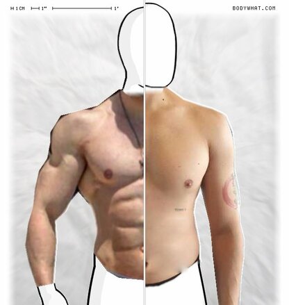 Torso Comparison