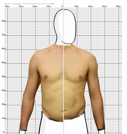 Torso Comparison