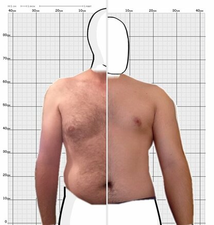 Torso Comparison