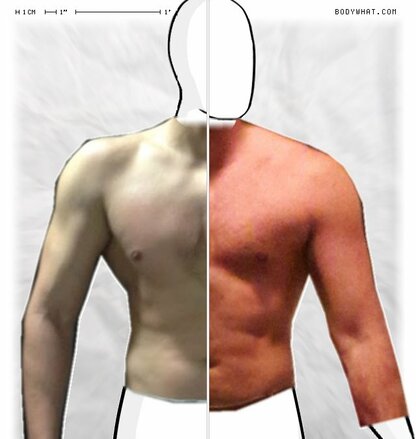 Torso Comparison