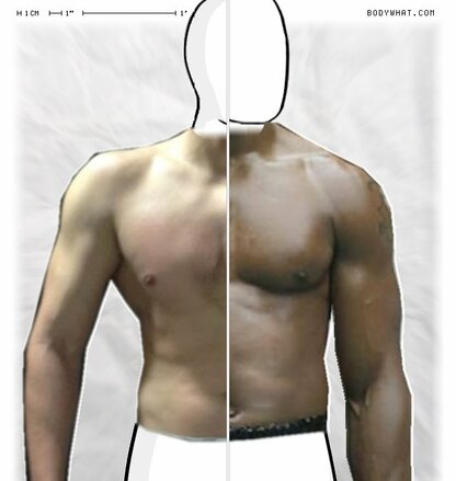 Torso Comparison