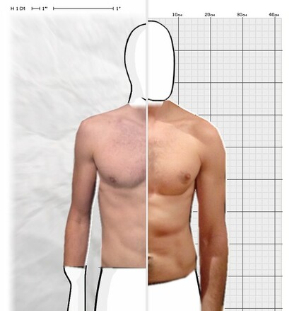 Torso Comparison