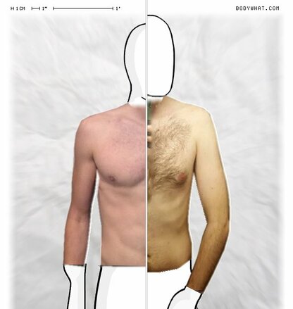 Torso Comparison