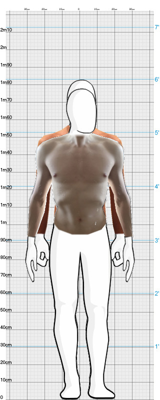 Full Size Comparison