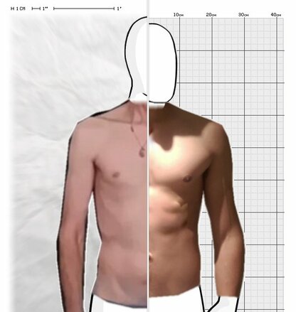 Torso Comparison