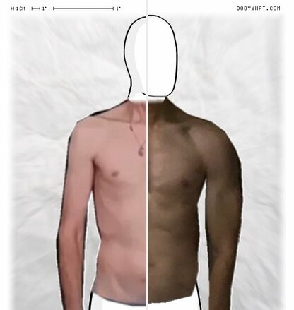 Torso Comparison