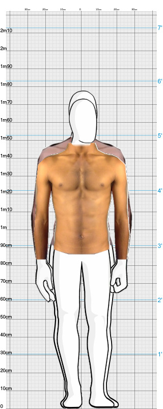 Full Size Comparison