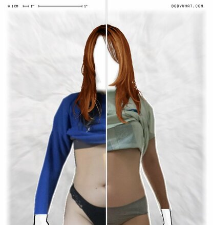 Torso Comparison