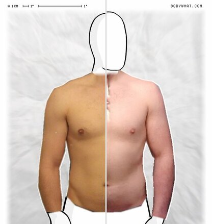 Torso Comparison