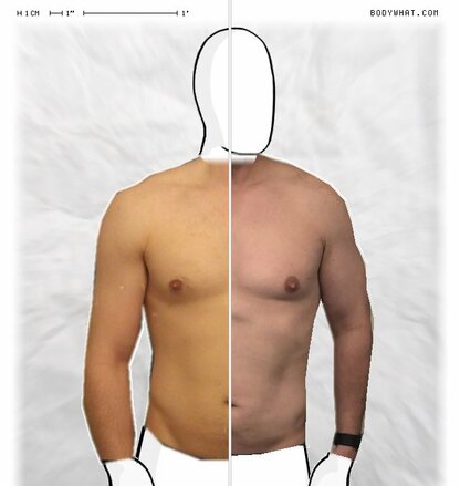Torso Comparison