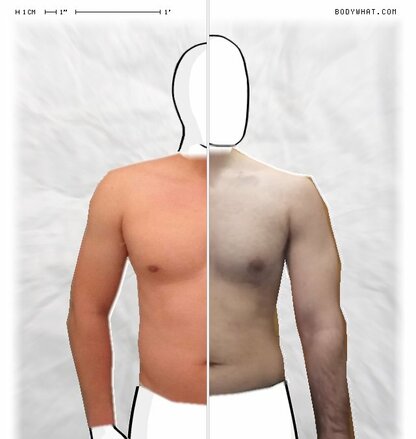 Torso Comparison