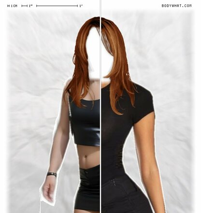Torso Comparison
