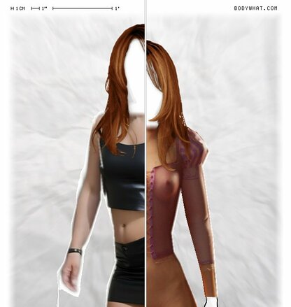 Torso Comparison