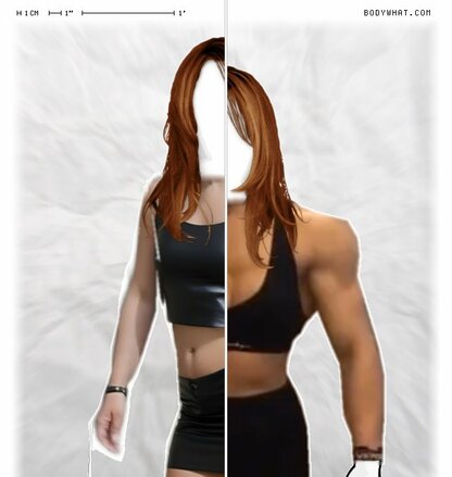 Torso Comparison