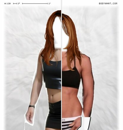 Torso Comparison
