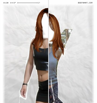Torso Comparison