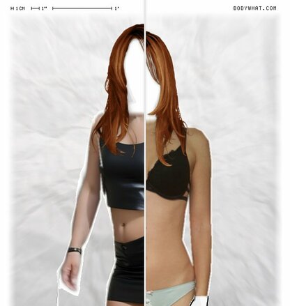 Torso Comparison