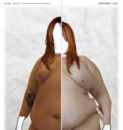 Torso Comparison