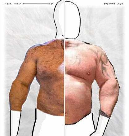 Torso Comparison