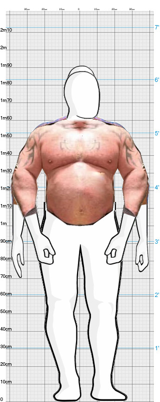 Full Size Comparison