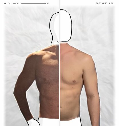 Torso Comparison