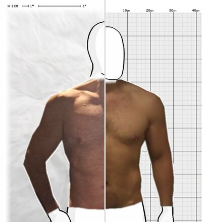 Torso Comparison