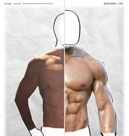 Torso Comparison