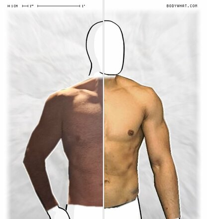 Torso Comparison