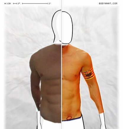 Torso Comparison