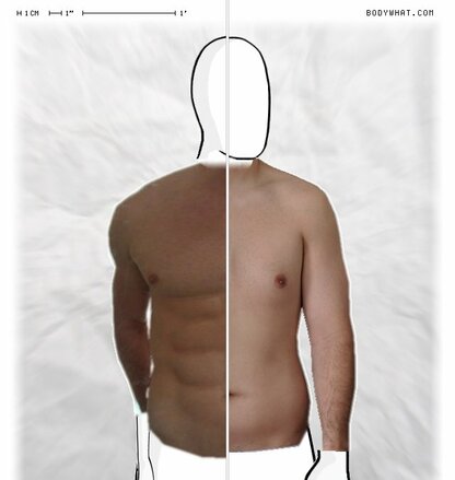Torso Comparison