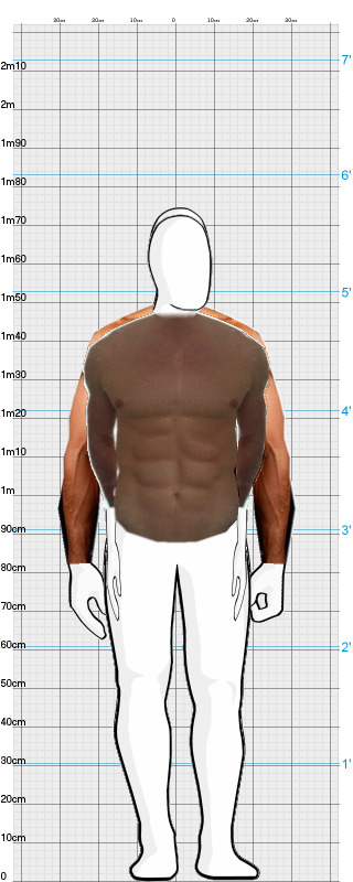Full Size Comparison