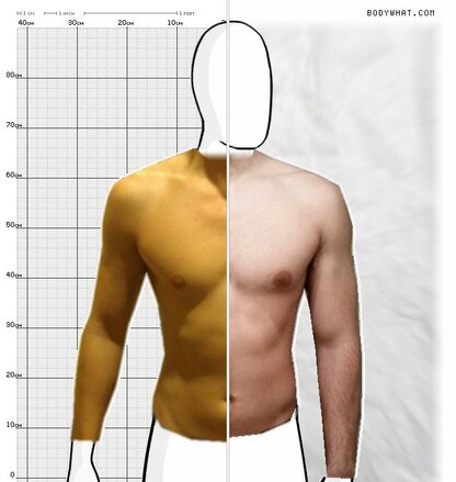 75kg Vs Bodywhat Test 31 10 Bodywhat