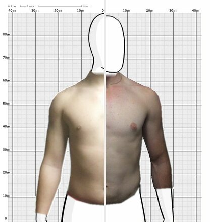 Torso Comparison