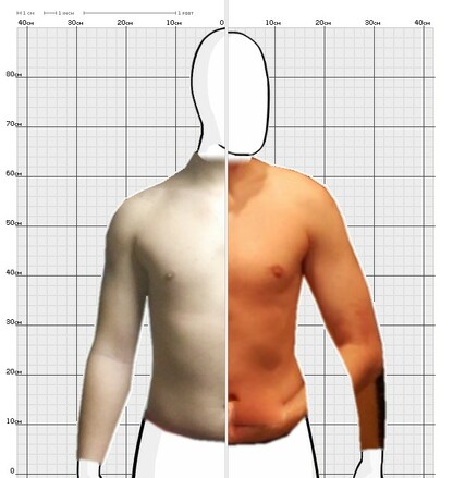Torso Comparison