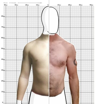 Torso Comparison