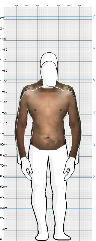 Full Size Comparison