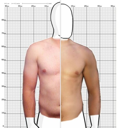 Torso Comparison