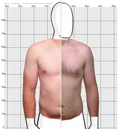 Torso Comparison