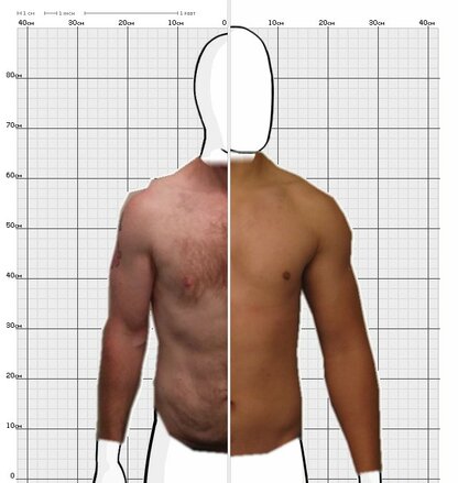 Torso Comparison