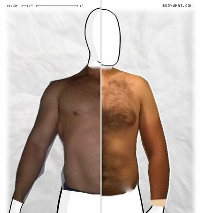 Torso Comparison