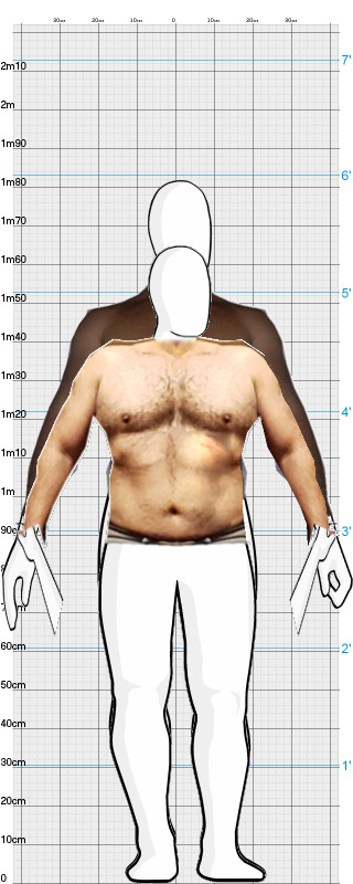 Full Size Comparison